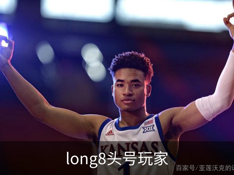 long8头号玩家概况